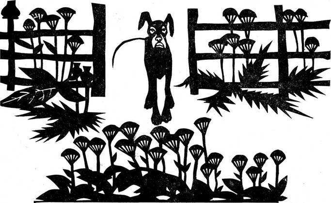 Каникулы кота Егора. Иллюстрация № 4