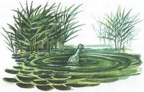 Великан на поляне или первые уроки экологической этики. Иллюстрация № 91
