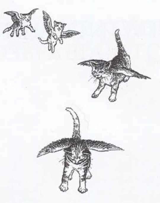 Крылатые кошки возвращаются. Иллюстрация № 1
