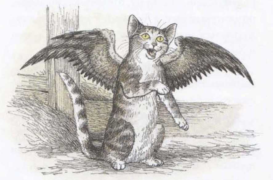 Крылатые кошки возвращаются. Иллюстрация № 5