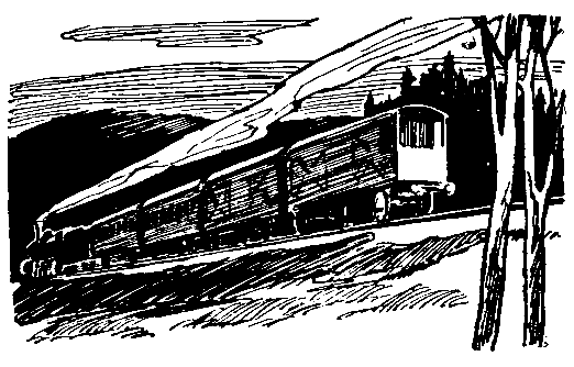 Золотой поезд. Повесть. Иллюстрация № 8