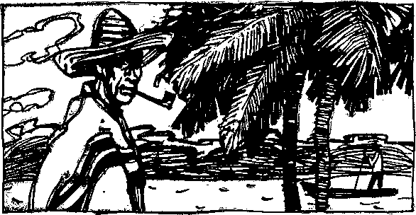 В джунглях Амазонки. Иллюстрация № 3