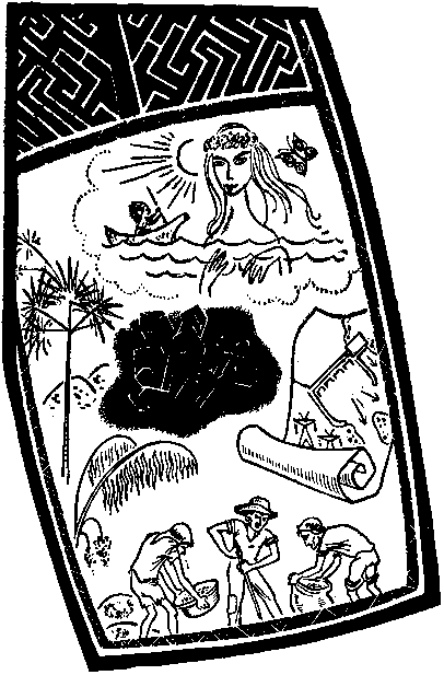 Амазонка глазами москвича. Иллюстрация № 2