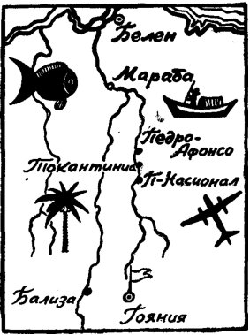 Амазонка глазами москвича. Иллюстрация № 3