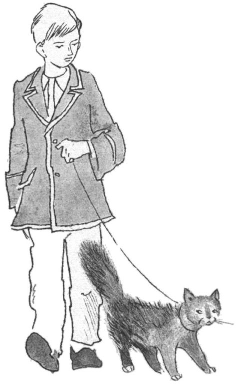 Рыжий кот. Иллюстрация № 3