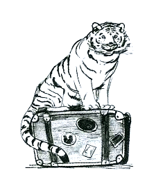 Парящий тигр. Иллюстрация № 1