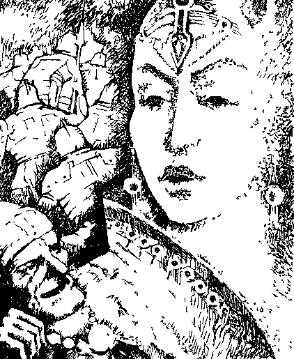 Ведьмы из Эсткарпа. Иллюстрация № 1