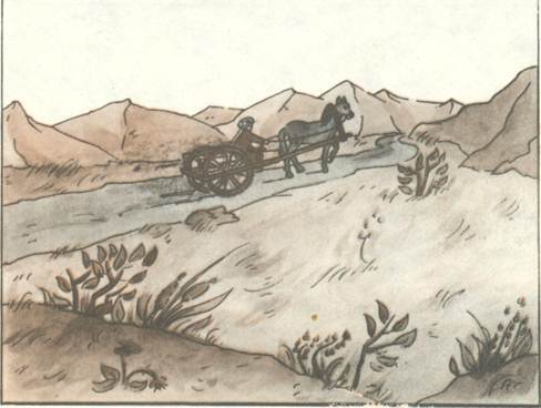 Афганские сказки. Иллюстрация № 24