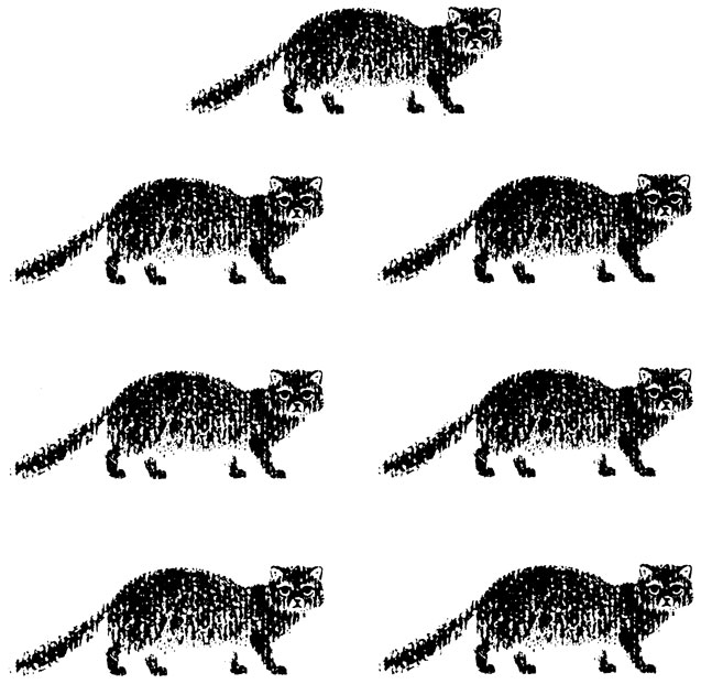 Тринадцать черных кошек. Иллюстрация № 2