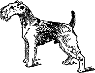 400 советов любителю собак. Иллюстрация № 282