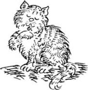 Леди Кошка. Иллюстрация № 1