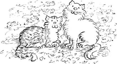 Леди Кошка. Иллюстрация № 8
