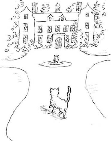 Леди Кошка. Иллюстрация № 49
