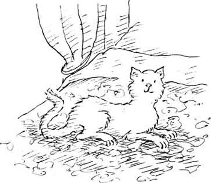 Леди Кошка. Иллюстрация № 51