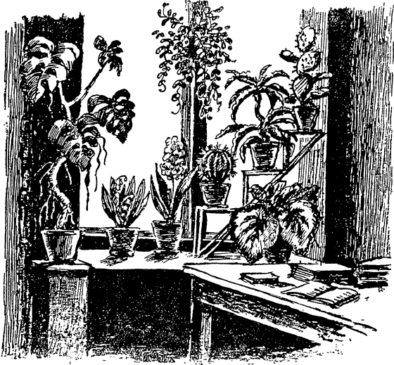 Из жизни растений. Иллюстрация № 5