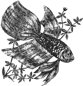 Аквариумное рыбоводство. Иллюстрация № 1