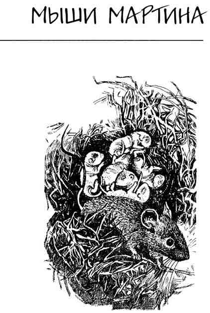 Мыши Мартина. Иллюстрация № 1