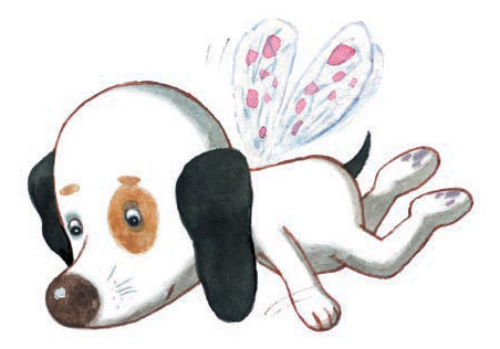 Собачка Соня на даче. Иллюстрация № 1