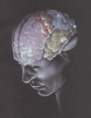 Мозг, разум и поведение. Иллюстрация № 1