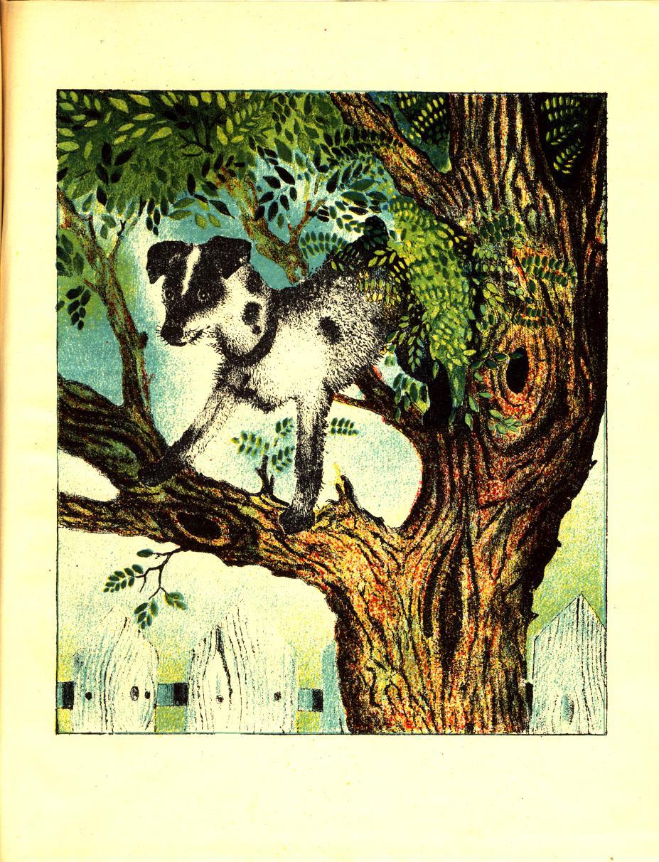 Жабка. Кіт. Собака. Иллюстрация № 15
