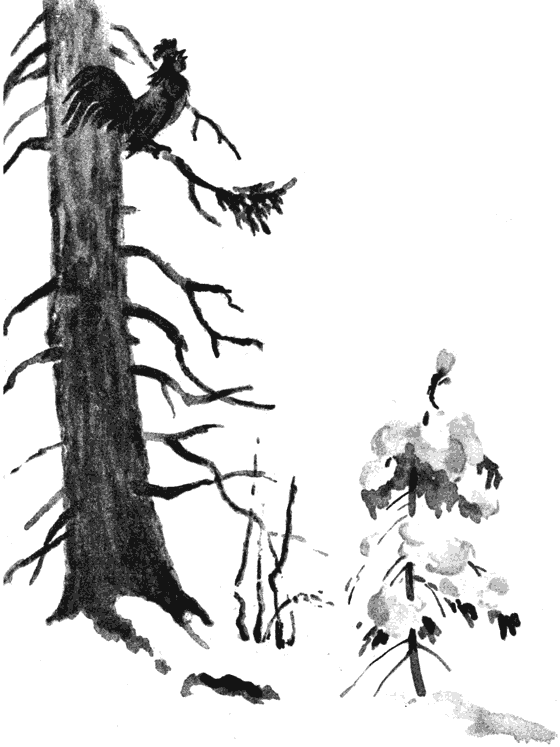 Вести из леса. Иллюстрация № 8