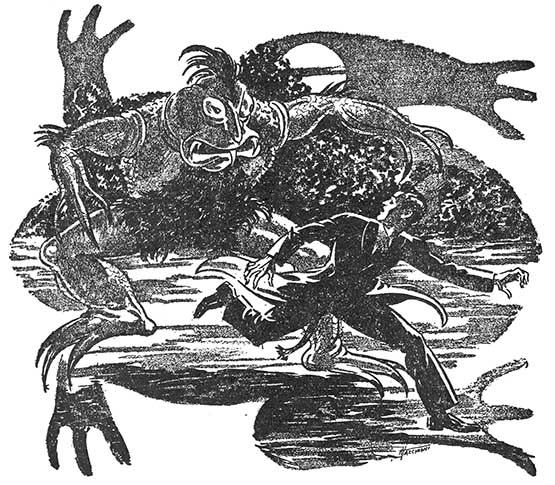 Лягушка. Иллюстрация № 1
