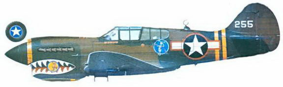 Curtiss P-40 часть 3. Иллюстрация № 118