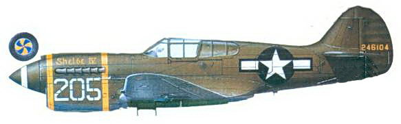 Curtiss P-40 часть 3. Иллюстрация № 119
