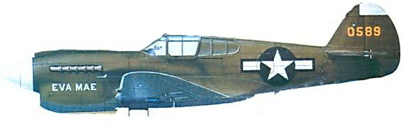 Curtiss P-40 часть 3. Иллюстрация № 120