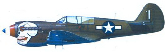 Curtiss P-40 часть 3. Иллюстрация № 128