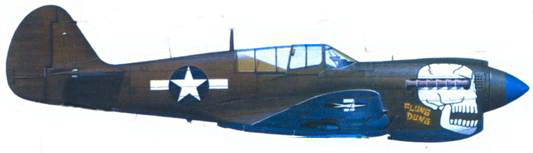 Curtiss P-40 часть 3. Иллюстрация № 130
