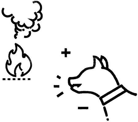 Тренировка собаки оповещению дыма. Иллюстрация № 1