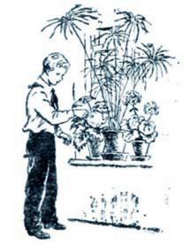 Путешествие с домашними растениями. Иллюстрация № 1