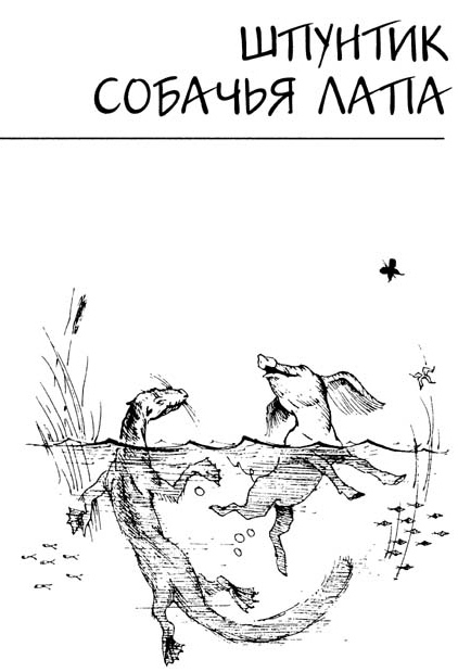 Шпунтик собачья лапа. Иллюстрация № 1