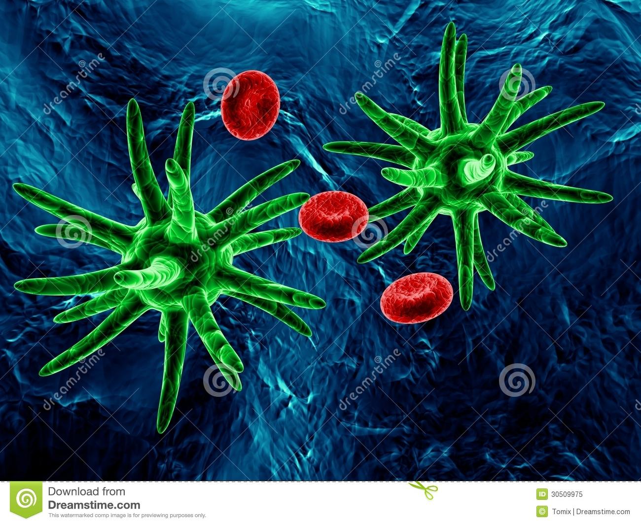 Бактерии. Иллюстрация № 2