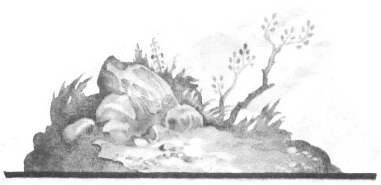 Гибель Чапаева. Иллюстрация № 18