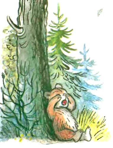 Медвежонок-невежа. Иллюстрация № 7
