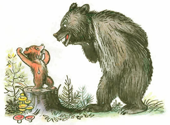 Медвежонок-невежа. Иллюстрация № 10