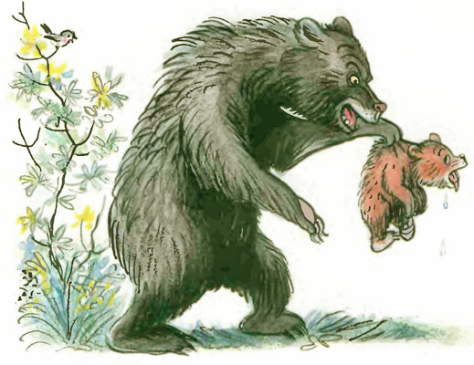 Медвежонок-невежа. Иллюстрация № 11