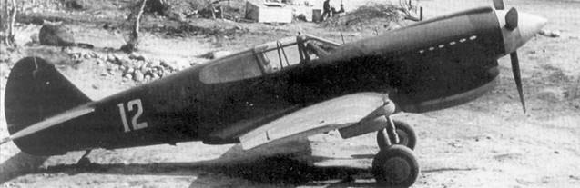 Curtiss P-40 часть 4. Иллюстрация № 109