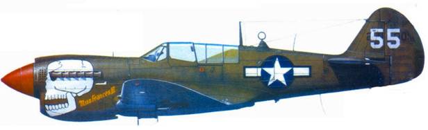 Curtiss P-40 часть 4. Иллюстрация № 110