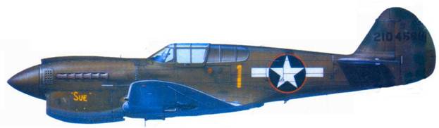 Curtiss P-40 часть 4. Иллюстрация № 112