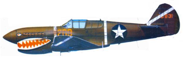 Curtiss P-40 часть 4. Иллюстрация № 117