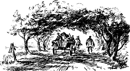 Вербы и мостовая. Иллюстрация № 2