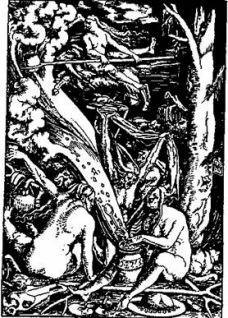Бич и молот. Охота на ведьм в XVI-XVIII веках с иллюстрациями. Иллюстрация № 1