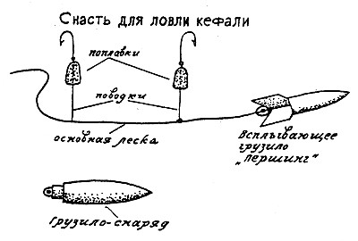 Феодосийская рыбалка. Иллюстрация № 5