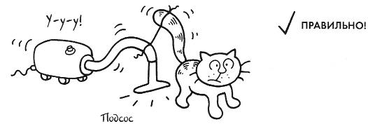 Руководство по выживанию для владельцев кошек. Иллюстрация № 9