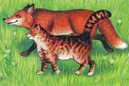 Кот и лиса. Иллюстрация № 12