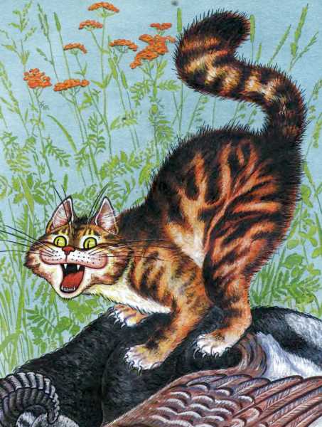 Кот и лиса. Иллюстрация № 14