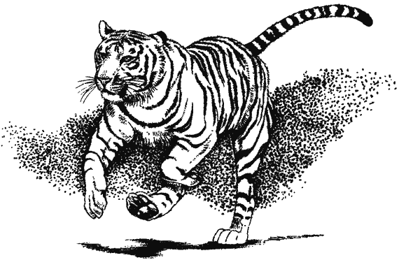 Храмовый тигр. Иллюстрация № 2